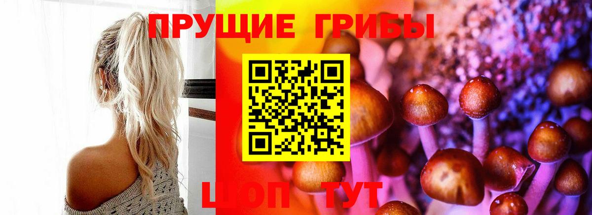 Галлюциногенные грибы Magic Shrooms Ярцево